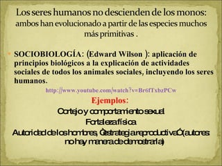 SOCIOBIOLOGÍA: (Edward Wilson ): aplicación de principios biológicos a la explicación de actividades sociales de todos los animales sociales, incluyendo los seres humanos. http://www.youtube.com/watch?v=Br6fTxbzPCw Ejemplos:  Cortejo y comportamiento sexual Fortaleza física  Autoridad de los hombres, “estrategia reproductiva” (autores: no hay manera de demostrarla) 