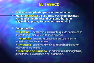 EL TABACO Hojas de una planta que contiene nicotina. Planta  Solanácea  de la que se obtienen distintas variedades   destinadas al consumo humano (cigarrillos, puros, tabaco de mascar, etc) Componentes : *  Nicotina  –  Sustancia estimulante que da cuenta de la dependencia física que el tabaco provoca. *  Alquitrán -  Sustancias cancerígenas que inhala el fumador y quienes le rodean. *  Irritantes -  Responsables de la irritación del sistema respiratorio (faringitis). *  Monóxido de Carbono -  se adhiere a la hemoglobina, dificultando la oxigenación del organismo. 