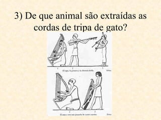 3) De que animal são extraídas as cordas de tripa de gato? 