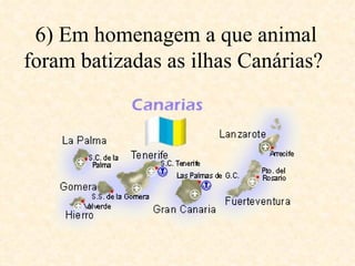6) Em homenagem a que animal foram batizadas as ilhas Canárias?   
