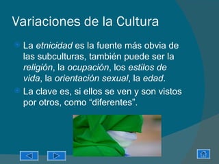 Variaciones de la Cultura
 La etnicidad es la fuente más obvia de
  las subculturas, también puede ser la
  religión, la ocupación, los estilos de
  vida, la orientación sexual, la edad.
 La clave es, si ellos se ven y son vistos
  por otros, como “diferentes”.
 