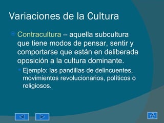 Variaciones de la Cultura
 Contracultura  – aquella subcultura
  que tiene modos de pensar, sentir y
  comportarse que están en deliberada
  oposición a la cultura dominante.
   Ejemplo: las pandillas de delincuentes,
   movimientos revolucionarios, políticos o
   religiosos.
 