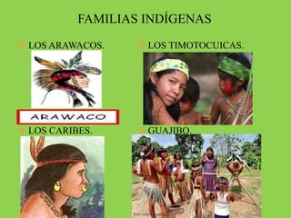 FAMILIAS INDÍGENAS
 LOS ARAWACOS.
 LOS CARIBES.
 LOS TIMOTOCUICAS.
 GUAJIBO.
 