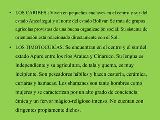 • LOS CARIBES : Viven en pequeños enclaves en el centro y sur del
estado Anzoátegui y al norte del estado Bolívar. Se trata de grupos
agrícolas provistos de una buena organización social. Su sistema de
orientación está relacionado directamente con el Sol.
• LOS TIMOTOCUICAS: Se encuentran en el centro y el sur del
estado Apure entre los ríos Arauca y Cinaruco. Su lengua es
independiente y su agricultura, de tala y quema, es muy
incipiente. Son pescadores hábiles y hacen cestería, cerámica,
curiaras y hamacas. Los shamanes son tanto hombres como
mujeres y se caracterizan por un alto grado de conciencia
étnica y un fervor mágico-religioso intenso. No cuentan con
dirigentes propiamente dichos.
 