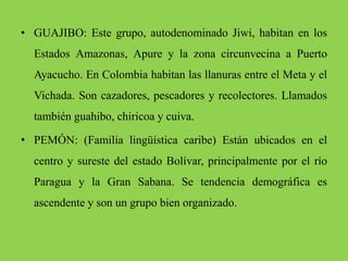 • GUAJIBO: Este grupo, autodenominado Jiwi, habitan en los
Estados Amazonas, Apure y la zona circunvecina a Puerto
Ayacucho. En Colombia habitan las llanuras entre el Meta y el
Vichada. Son cazadores, pescadores y recolectores. Llamados
también guahibo, chiricoa y cuiva.
• PEMÓN: (Familia lingüística caribe) Están ubicados en el
centro y sureste del estado Bolívar, principalmente por el río
Paragua y la Gran Sabana. Se tendencia demográfica es
ascendente y son un grupo bien organizado.
 