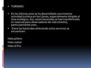 TURISMO:
 En los últimos anos se ha desarrollado una inmensa
actividad turística en los Llanos, especialmente dirigido al
área ecológica. Así, varias haciendas se han transformado
en reservas para observadores de vida silvestre,
particularmente aves.
 Entre las haciendas ofreciendo estos servicios se
encuentran:
Hato piñero
Hato cedral
Hato el frio
 