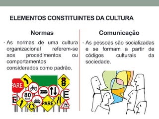 ELEMENTOS CONSTITUINTES DA CULTURA
Normas
• As normas de uma cultura
organizacional referem-se
aos procedimentos ou
comportamentos
considerados como padrão.
Comunicação
• As pessoas são socializadas
e se formam a partir de
códigos culturais da
sociedade.
 