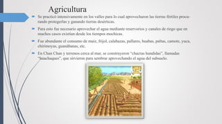 Agricultura
 Se practicó intensivamente en los valles para lo cual aprovecharon las tierras fértiles procu-
rando protegerlas y ganando tierras desérticas.
 Para esto fue necesario aprovechar el agua mediante reservorios y canales de riego que en
muchos casos existían desde los tiempos mochicas.
 Fue abundante el consumo de maíz, frijol, calabazas, pallares, huabas, paltas, camote, yuca,
chirimoyas, guanábanas, etc.
 En Chan Chan y terrenos cerca al mar, se construyeron “chacras hundidas”, llamadas
“huachaques”, que sirvieron para sembrar aprovechando el agua del subsuelo.
 