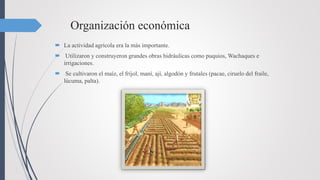 Organización económica
 La actividad agrícola era la más importante.
 Utilizaron y construyeron grandes obras hidráulicas como puquios, Wachaques e
irrigaciones.
 Se cultivaron el maíz, el fríjol, maní, ají, algodón y frutales (pacae, ciruelo del fraile,
lúcuma, palta).
 