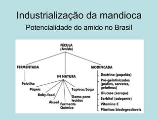 Industrialização da mandioca Potencialidade do amido no Brasil 