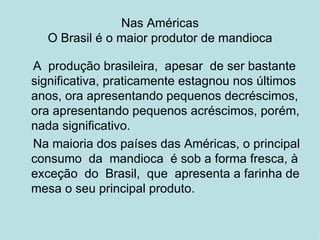 Nas Américas O Brasil é o maior produtor de mandioca A  produção brasileira,  apesar  de ser bastante significativa, praticamente estagnou nos últimos anos, ora apresentando pequenos decréscimos, ora apresentando pequenos acréscimos, porém, nada significativo.  Na maioria dos países das Américas, o principal consumo  da  mandioca  é sob a forma fresca, à exceção  do  Brasil,  que  apresenta a farinha de mesa o seu principal produto.  
