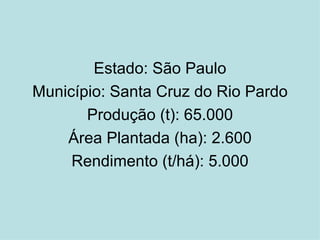 Estado: São Paulo Município: Santa Cruz do Rio Pardo Produção (t): 65.000 Área Plantada (ha): 2.600 Rendimento (t/há): 5.000 