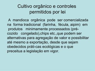 Cultivo orgânico e controles  permitidos por lei A   mandioca  orgânica  pode  ser comercializada na  forma tradicional  (farinha,  fécula, aipim)  em  produtos  minimamente processados (pré-cozido  congelado),chips etc.,que podem ser alternativas para agregação de valor e possibilitar até mesmo a exportação, desde que sejam obedecidos práti-cas ecológicas e o que preceitua a legislação em vigor. 
