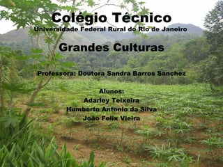 Colégio Técnico Universidade Federal Rural do Rio de Janeiro   Grandes Culturas Professora: Doutora Sandra Barros Sanchez Alunos: Adarley Teixeira Humberto Antonio da Silva João Felix Vieira 