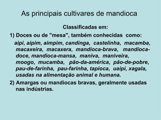 As principais cultivares de mandioca   Classificadas em: 1) Doces ou de "mesa", também conhecidas  como: aipi ,  aipim ,  aimpim ,  candinga ,  castelinha ,  macamba ,  macaxeira ,  macaxera ,  mandioca-brava ,  mandioca-doce ,  mandioca-mansa ,  maniva ,  maniveira ,  moogo ,  mucamba ,  pão-da-américa ,  pão-de-pobre ,  pau-de-farinha ,  pau-farinha ,  tapioca ,  uaipi ,  xagala,  usadas na alimentação animal e humana. 2) Amargas ou mandiocas bravas, geralmente usadas nas indústrias.  