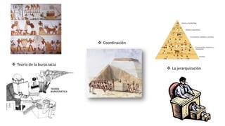  Teoría de la burocracia
 La jerarquización
 Coordinación
 