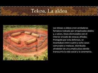 Las tekoas o aldeas eran verdaderas fortaleza rodeada por empalizadas dobles y, a veces, fosos disimulados con el interior erizado de estacas afiladas. Protegido por esta defensas, se levantaban entre cuatro y ocho casas comunales o malocas, distribuida alrededor de una amplia plaza donde transcurría la vida social y la ceremonia.  