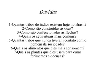 Dúvidas 1-Quantas tribos de índios existem hoje no Brasil? 2-Como são construídas as ocas? 3-Como são confeccionadas as flechas? 4-Quais os seus rituais mais comuns? 5-Quantas tribos que nunca tiveram contato com o homem da sociedade? 6-Quais os alimentos que eles mais consomem? 7-Quais as plantas que eles usam para curar ferimentos e doenças? 
