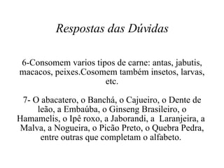 Respostas das Dúvidas 6-Consomem varios tipos de carne: antas, jabutis, macacos, peixes.Cosomem também insetos, larvas, etc. 7- O abacatero, o Banchá, o Cajueiro, o Dente de leão, a Embaúba, o Ginseng Brasileiro, o Hamamelis, o Ipê roxo, a Jaborandi, a  Laranjeira, a  Malva, a Nogueira, o Picão Preto, o Quebra Pedra, entre outras que completam o alfabeto.  