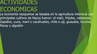 ACTIVIDADES
ECONOMICAS
La economía nazquense se basaba en la agricultura intensiva Los
principales cultivos de Nazca fueron: el maíz, frijoles, calabazas,
Zapallos, yuca, maní o cacahuates, chile o ají, guayaba, lúcuma,
Pacay y algodón
 