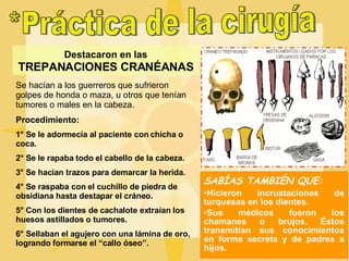 *Práctica de la cirugía Destacaron en las  TREPANACIONES CRANÉANAS Se hacían a los guerreros que sufrieron golpes de honda o maza, u otros que tenían tumores o males en la cabeza. Procedimiento: 1° Se le adormecía al paciente con chicha o coca. 2° Se le rapaba todo el cabello de la cabeza. 3° Se hacían trazos para demarcar la herida. 4° Se raspaba con el cuchillo de piedra de obsidiana hasta destapar el cráneo. 5° Con los dientes de cachalote extraían los huesos astillados o tumores. 6° Sellaban el agujero con una lámina de oro, logrando formarse el “callo óseo”. SABÍAS TAMBIÉN QUE: Hicieron incrustaciones de turquesas en los dientes. Sus médicos fueron los chamanes o brujos. Éstos transmitían  sus  conocimientos en forma secreta y de padres a hijos. 
