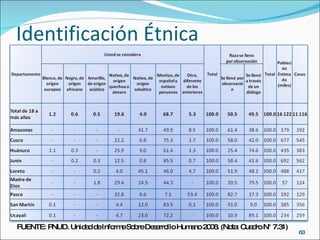 Identificación Étnica FUENTE: PNUD. Unidad de Informe Sobre Desarrollo Humano 2008. (Nota: Cuadro N° 7.31) 