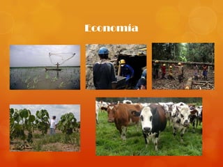 Economía
 