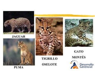 CULTURA Y ALIMENTACIÓN 