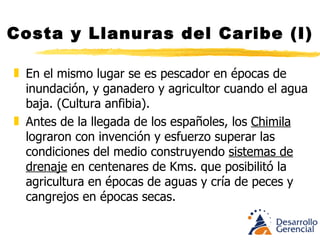 Costa y Llanuras del Caribe (I) El terreno se trabajó en espina de pescado, alternativamente una Cosecha se sembraba y otra drenaba el agua. Hace seis siglos resolvieron  lo que hoy no se ha podido resolver. 15 siglos antes de la llegada de los españoles a la costa y su establecimiento en el siglo XVI y 400 años a.c., los indígenas cocinaban en ollas de barro, (posibilidad de asado a guiso) se encontraron conchas horadadas, esqueletos de peces, caparazones de tortuga abiertos a golpes de piedra y restos de pequeños mamíferos. 