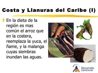 Costa y Llanuras del Caribe (I) En la dieta de la región es mas común el arroz que en la costera, reemplaza la yuca, el ñame, y la malanga cuyas siembras inundan las aguas. 