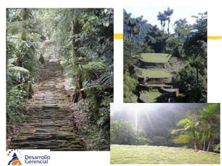 Costa y Llanuras del Caribe (I) De su arquitectura quedan los caminos empedrados y las murallas de piedra que asientan el terreno de labranza  y el dédalo vial de su pueblos. 