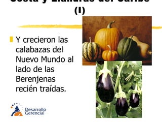 Costa y Llanuras del Caribe (I) Santa Marta  punto de partida para la conquista del territorio durante el siglo XVI y motor económico durante años en el siglo XIX y principios del XX. Cartagena  gran bastión y puerto colonial y republicano y B/quilla nacida en el siglo XX.  