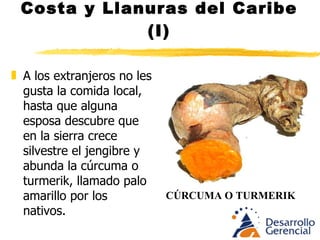 Costa y Llanuras del Caribe (I) B/quilla sustituyó a Cartagena como el gran Puerto y en 1900 la inmigración interna busca trabajo y es tan populosa como Cartagena. Las costumbres de la mesa  CAMBIAN . 