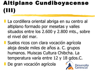 Altiplano Cundiboyacense (III) La cocina indígena era  cosida o asada , las frituras fueron aporte del inmigrante, como no abundaba el cerdo (manteca) la costumbre culinaria siguió siendo la del cocido. Cubio, arracacha, yuca, auyama, victoria, ají. En Villa de Leyva y Samacá grandes trigales y molinos. Los arrieros y caminantes se alimentan no con pan blanco de trigo sino con almojábanas. 