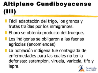 Altiplano Cundiboyacense (III) bizcochos,  panes, garullas y chicheros fabricados con harina de maíz. Almojabana viene del árabe  Mojábena ( torta de harina hecha con queso y huevos, manteca y azúcar que se frita).  La nuestra es de harina de maíz y queso. Por tradición la comida es baja en grasa y por hábito la “sopa” es muy importante por el frío. La papa en sus diversas variedades ocupa el puesto que en la reg. Antioqueña tiene el maíz. 