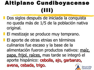 Altiplano Cundiboyacense (III) Hay gran variedad de papa c/u posee virtudes específicas para cada plato. La “sabanera” ideal para fritos La “paramuna” para asados y caldos La “criolla” para sopas que requieran cuerpo La “pastusa” para purés y sopas La “tocarreña” para asarse. Algunas son mas ricas en féculas y almidones, otras poseen alto contenido en hidratos. Tradición la papa salada (Zipaquirá) 