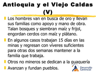   Santanderes y la Guajira (VI) Zambos, negros, e indígenas Wayúu Artesanos tejedores, sombrereros, bordadores, comerciantes, cultivadores y transformadores de tabaco Se diezmó la población indígena, priman las etnias mestiza y blanca Maíz, yuca, y arracacha elementos básicos de la dieta regional. 