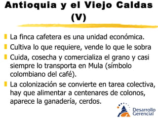 Tolima Grande (VII) Flanqueado por las cordilleras central y oriental. Valle del Magdalena El valle seco irrigado permitió la agricultura intensiva Cultura agustiniana, colosal estatuaria en piedra. Arquitectos conocedores del mapa celeste, cultivaban maíz, yuca y algodón 