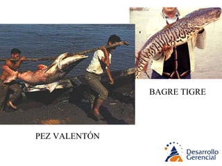 CULTURA Y ALIMENTACIÓN 