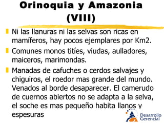 CULTURA Y ALIMENTACIÓN 