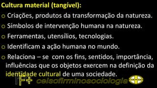 Cultura material (tangível):
o Criações, produtos da transformação da natureza.
o Símbolos de intervenção humana na natureza.
o Ferramentas, utensílios, tecnologias.
o Identificam a ação humana no mundo.
o Relaciona – se com os fins, sentidos, importância,
influências que os objetos exercem na definição da
identidade cultural de uma sociedade.
 