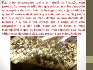Esta tribo amazonense realiza um ritual de iniciação com
garotos. Os jovens da tribo têm que colocar as mãos dentro de
uma espécie de luva cheia de formigas-bala, cuja mordida é
quase 20 vezes mais dolorida que a de uma vespa. Os garotos
têm que dançar com as mãos dentro da luva durante dez
minutos, e a dor é tão intensa que o corpo sofre com
convulsões, e a dor pode durar até 24 horas. O mais
inacreditável é que os homens da tribo repetem este ritual
várias vezes durante a vida, para provar a sua masculinidade.
 