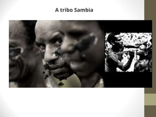 A tribo Sambia
 