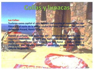 Las Collas:
Tuvieron como capital el sitio llamado Hatuncolla, al noroeste del lago
Titicaca y al norte de la actual ciudad de Puno. Dominaron las cuencas
de los ríos Pucará, Ramis y Coata.
Las Lupacas:
Fueron el señorío más poderoso del Altiplano, de acuerdo con los
reportes elaborados en 1567 por Garci Diez de San Miguel, Quien
visito personalmente esta zona. Esto los llamó « Indios ricos» y
mencionó que algunos indígenas poderoso tenían hasta 50 000
cabezas de ganado.

 