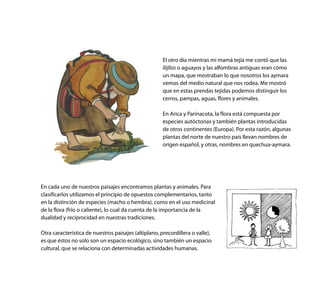 El otro día mientras mi mamá tejía me contó que las
llijllas o aguayos y las alfombras antiguas eran cómo
un mapa, que mostraban lo que nosotros los aymara
vemos del medio natural que nos rodea. Me mostró
que en estas prendas tejidas podemos distinguir los
cerros, pampas, aguas, flores y animales.
En Arica y Parinacota, la flora está compuesta por
especies autóctonas y también plantas introducidas
de otros continentes (Europa). Por esta razón, algunas
plantas del norte de nuestro país llevan nombres de
origen español, y otras, nombres en quechua-aymara.
En cada uno de nuestros paisajes encontramos plantas y animales. Para
clasificarlos utilizamos el principio de opuestos complementarios, tanto
en la distinción de especies (macho o hembra), como en el uso medicinal
de la flora (frío o caliente), lo cual da cuenta de la importancia de la
dualidad y reciprocidad en nuestras tradiciones.
Otra característica de nuestros paisajes (altiplano, precordillera o valle),
es que éstos no solo son un espacio ecológico, sino también un espacio
cultural, que se relaciona con determinadas actividades humanas.
 