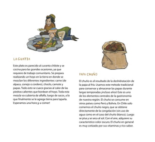 PAPA CHUÑO
El chuño es el resultado de la deshidratación de
la papa al frío. Usamos este método tradicional
para conservar y almacenar las papas durante
largas temporadas ¡incluso años! Este es uno
de los elementos centrales de la gastronomía
de nuestra región. El chuño se consume en
otros países como Perú y Bolivia. En Chile solo
comemos el chuño negro, que se obtiene
directamente de la congelación (sin uso de
agua como en el caso del chuño blanco). Luego
se pisa y se seca al sol. Con el aire, adquiere su
característico color oscuro. El chuño en general
es muy cotizado por sus vitaminas y rico sabor.
LA GUATIA
Este plato es parecido al curanto chilote y se
cocina para las grandes ocasiones, ya que
requiere de trabajo comunitario. Se prepara
realizando un hoyo en la tierra en donde se
mezclan los diferentes ingredientes: carne (de
alpaca, conejo o cordero), choclo, camote y
papas. Todo esto se cuece gracias al calor de las
piedras calientes que bordean el hoyo. Toda esta
mezcla va cubierta de alfalfa, luego de sacos, a lo
que finalmente se le agrega tierra para taparla.
Esperamos una hora ¡y a comer!
 