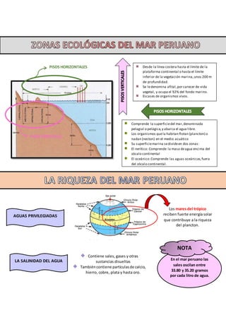 En el mar peruano las
sales oscilan entre
33.80 y 35.20 gramos
por cada litro de agua.
Desde la línea costera hasta el límite de la
plataforma continental o hasta el límite
inferior de la vegetación marina,unos 200 m
de profundidad.
Se ledenomina afital,por carecer de vida
vegetal, y ocupa el 92% del fondo marino.
Escases de organismos vivos.
Comprende la superficiedel mar,denominada
pelagial o pelágica,y abarca el agua libre.
Los organismos quela habitan flotan (plancton) o
nadan (necton) en el medio acuático
Su superficiemarina sedivideen dos zonas:
El nerítico: Comprende la masa deagua encima del
zócalo continental
El oceánico:Comprende las aguas oceánicas,fuera
del zócalo continental.
PISOS HORIZONTALES
PISOS VERTICALES
AGUAS PRIVILEGIADAS
LA SALINIDAD DEL AGUA
Los mares del trópico
reciben fuerte energía solar
que contribuye a la riqueza
del plancton.
Contiene sales, gases y otras
sustancias disueltas
Tambiéncontiene partículasde calcio,
hierro, cobre, plata y hasta oro.
NOTA
 