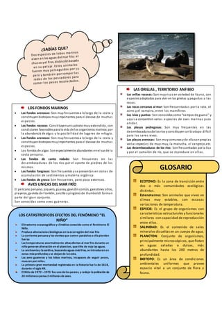 LOS FONDOS MARINOS
 Los fondos arenosos: Son muyfrecuentesa lo largo de la costa y
constituyenbiotopos muyimportantes para el desove de muchas
especies.
 Los fondos rocosos: Constituyenunsustrato muy extendido, con
condiciones favorablespara la vida de los organismos marinos por
la abundancia de algas y la posibilidad de lugares de refugio.
 Los fondos arenosos: Son muyfrecuentesa lo largo de la costa y
constituyenbiotopos muyimportantes para el desove de muchas
especies.
 Los fondos de algas:Sonespecialmente abundantes enel sur de la
costa peruana.
 Los fondos de canto rodado: Son frecuentes en las
desembocaduras de los ríos por el aporte de piedras de los
mismos.
 Los fondos fangosos: Son frecuentes yse presentan en zonas de
acumulación de sedimentos y materia orgánica.
 Los fondos de grava: Son frecuentes, pero poco extensos.
AVES UNICAS DEL MAR FRÍO
El pelícano peruano, piquero, guanay, gaviotíncomún, gaviotines otros,
playeros, gaviota de Franklin, zarcillo ypingüino de Humboldt forman
parte del gran conjunto.
Son conocidas como aves guaneras.
LAS ORILLAS , TERRITORIO ANFIBIO
Las orillas rocosas: Son muyricas en variedad de fauna, con
especiesadaptadas para vivir en las grietas y pegadas a las
rocas.
Las rocas cercanas al mar: Son frecuentadas por la rata, el
zorro y el vampiro, entre los mamíferos
Las islas y puntas: Son conocidos como"campos de guano" y
aquí se concentran varias especies de aves marinas para
anidar.
Las playas pedregosas: Son muy frecuentes en las
desembocadurasde los ríos yconstituyen un biotopo difícil
para los seres vivos.
Las playas arenosas: Son muycomunes yde ella sonpropias
varias especies de muy-muy, la marucha, el cangrejo,etc.
Las desembocaduras de los ríos: Son frecuentadas por la lisa
y por el camarón de río, que se reproduce en ellas.
LOS CATASTROFICOS EFECTOS DEL FENÓMENO “EL
NIÑO”
El trastorno oceanográfico y climático conocido como el fenómeno El
Niño.
Produce alteraciones biológicas en laecorregión del mar frio
Lacorriente peruanay losvientosque corren paralelosaellapierden
fuerza
Las temperaturas anormalmente altasafectan al mar frio durante un
niño generan alteración en el plancton, que tiñe de rojo lasaguas.
La anchovetay lasardina, buscando aguasmásfrías, se introducen en
zonas másprofundas y se alejan de lacosta.
Las aves guaneras y los lobos marinos, incapaces de seguir peces,
mueren por miles.
La primera gran mortandad registrada en la historia fue la de 1618,
durante el siglo XX.
El Niño de 1972 –1973 fue uno delospeores, y redujo lapoblación de
28 millonesapenas2 millonesde aves.
GLOSARIO
ECOTONO: Es la zona de transición entre
dos o más comunidades ecológicas
distintas.
Estenotermo: Son animales que viven en
climas muy estables, con escasas
variaciones de temperatura.
ESPECIE: Es el grupo de organismos con
características estructurales y funcionales
similares con capacidad de reproducción
entre ellos.
SALINIDAD: Es el contenido de sales
minerales disueltasen un cuerpo de agua.
PLANCTON: Conjunto de organismos,
principalmente microscópicos, que flotan
en aguas saladas o dulces, más
abundantes hasta los 200 metros de
profundidad.
BIOTOPO: Es un área de condiciones
ambientales uniformes que provee
espacio vital a un conjunto de flora y
fauna.
e
 