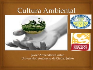 Javier Armendáriz Cortez 
Universidad Autónoma de Ciudad Juárez 
 