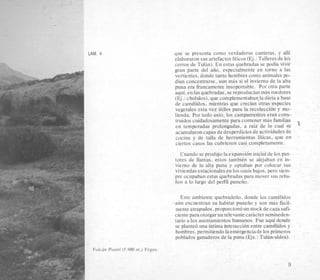 LAM. 4 que se presenta como verdaderas canteras, y alli
elaboraron sus artefactosliticos (E;. :Talleresde 10s
cerros de Tulan). En estas quebradas se podia vivir
gran parte del aiio, especialmente en torno a las
vertientes, donde tanto hombres como animales po-
dian concentrarse, aun mas si el invierno de la alta
puna era francamente insoportable. Por otra parte
aqui,en las quebradas, se reproducian m k roedores
(E;.: cholulos),que complementaban.la dieta a base
de camelidos, mientras que crecian otras especies
vegetales esta vez utiles para la recoleccih y mo-
lienda. Por todo esto, 10s campamentos eran cons-
truidos cuidadosamente para contener mas familias
en temporadas prolongadas, a raiz de lo cual st
acumularon capas dedesperdiciosde actividadesde
cocina y de talla de herramientas liticas, que en
ciertos casos las cubrieron casi completamente.
Cuando se produjo la expansion inicial de 10s pas-
tores de llamas, estos tambien se alejaban en in-
vierno de la alta puna y optaban por colocar sus
viviendasestacionalesen 10soasis bajos, per0 siem-
pre ocupaban estas quebradas para mover sus reba-
iios a lo largo del perfii puneiio.
?’
Este ambiente quebradeiio, donde 10s camelidos
saun encuentran su habitat puneiio y son mas ficil-
mente atrapados, proporciono un stockdecaza sufi-
ciente para otorgarunrelevantecar5ctersemiseden-
tario a 10s asentamientos humanos. Fue aqui donde
se plate6 una intima interaccionentre camelidos y
hombres, permitiendo laemergenciade 10sprimeros
poblados ganaderos de la puna (Ejs.: Tulan-aldea).
Volcan Paniri (5.980 m.)Vegas.
9
 